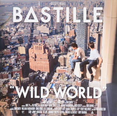 Album Cover Art for Wild World