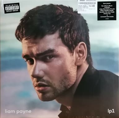 Album Cover Art for LP1