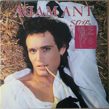 Album Cover Art for Strip