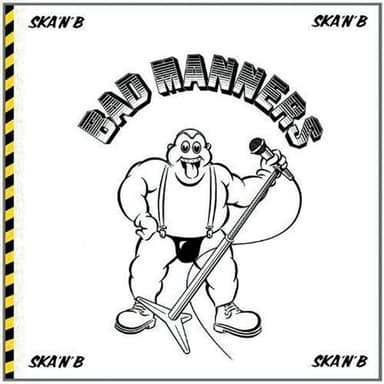 Album Cover Art for Ska 'N' B