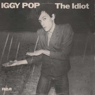 Album Cover Art for The Idiot