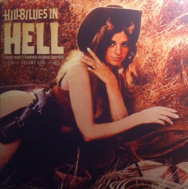 Album Cover Art for Hillbillies In Hell - Country Music's Tormented Testament (1952-1974) Volume Five