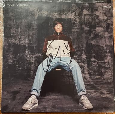 Album Cover Art for Walls