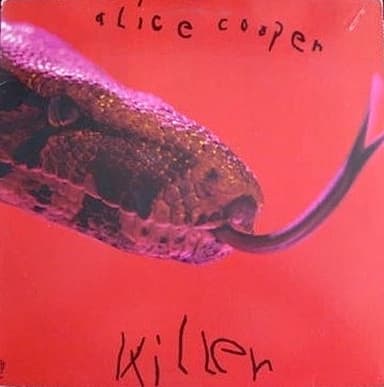 Album Cover Art for Killer