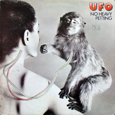 Album Cover Art for No Heavy Petting