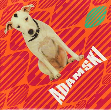 Album Cover Art for Killer