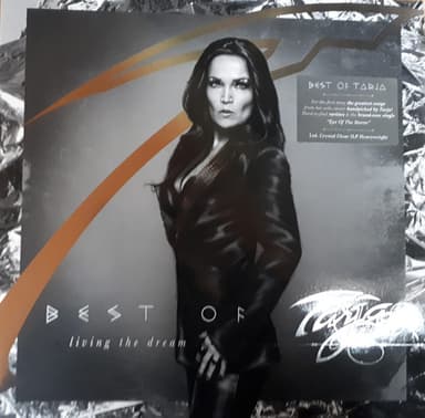Album Cover Art for Best Of (Living The Dream)