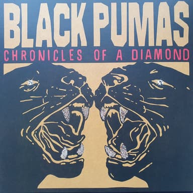 Album Cover Art for Chronicles Of A Diamond