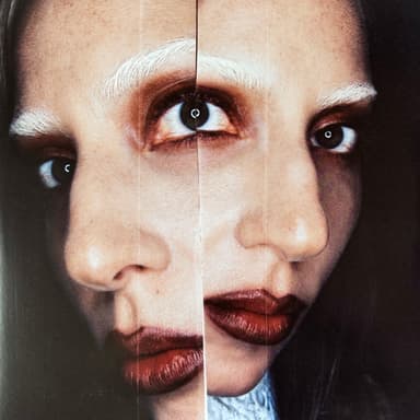 Album Cover Art for Mayhem