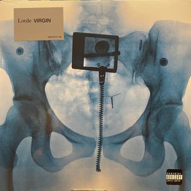 Album Cover Art for Virgin