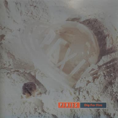 Album Cover Art for Dig For Fire