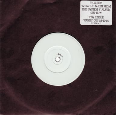 Album Cover Art for Miracle