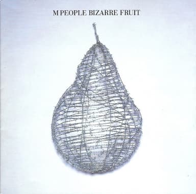 Album Cover Art for Bizarre Fruit