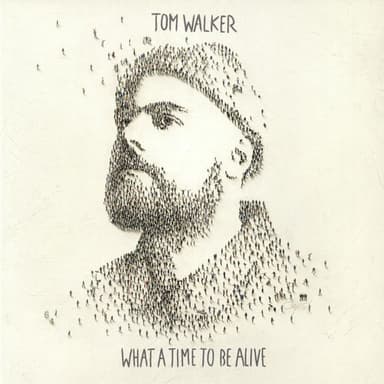 Album Cover Art for What A Time To Be Alive