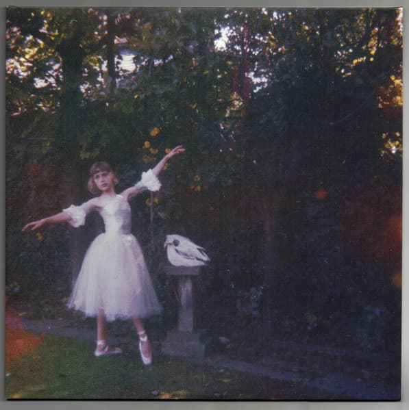 Album Cover Art for Visions Of A Life