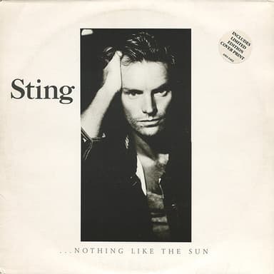 Album Cover Art for ...Nothing Like The Sun