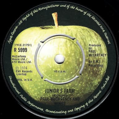 Album Cover Art for Junior's Farm