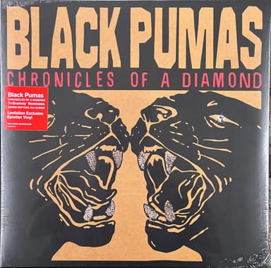 Album Cover Art for Chronicles Of A Diamond