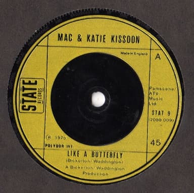 Album Cover Art for Like A Butterfly