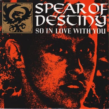 Album Cover Art for So In Love With You