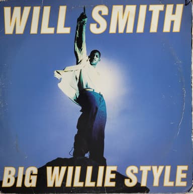 Album Cover Art for Big Willie Style