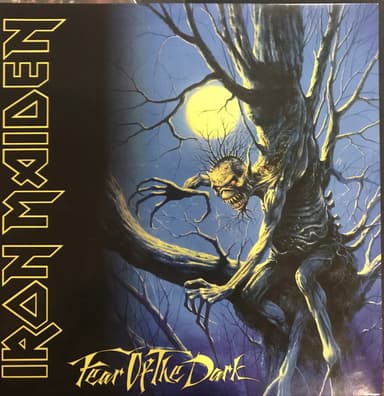 Album Cover Art for Fear Of The Dark