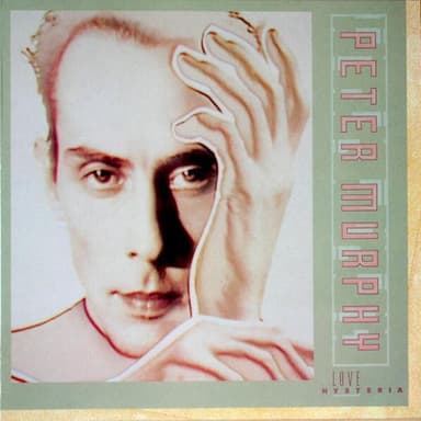 Album Cover Art for Love Hysteria