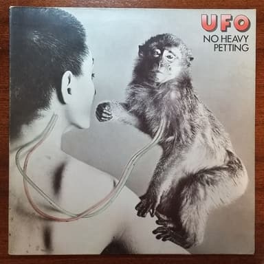 Album Cover Art for No Heavy Petting