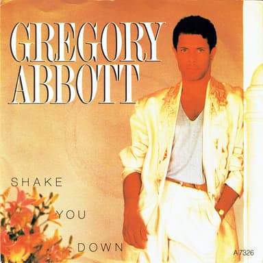 Album Cover Art for Shake You Down