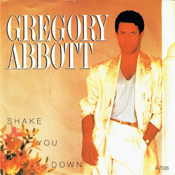 Album Cover Art for Shake You Down