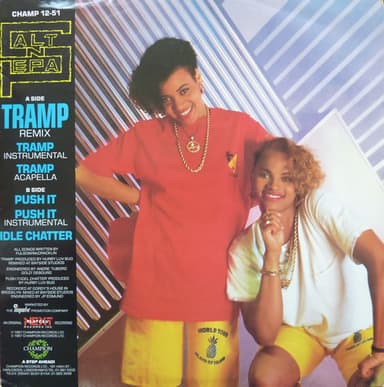Album Cover Art for Tramp (Remix) / Push It