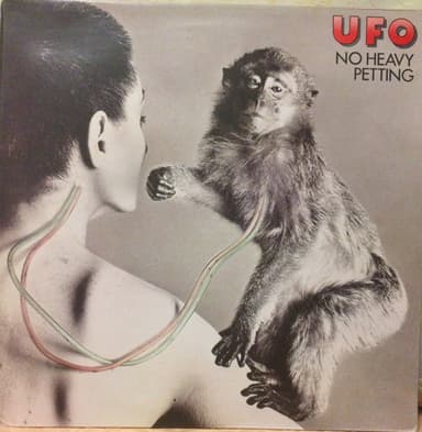 Album Cover Art for No Heavy Petting