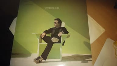 Album Cover Art for Wonderland